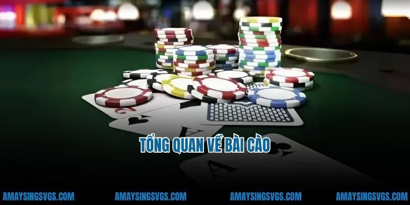 Tổng quan về bài cào