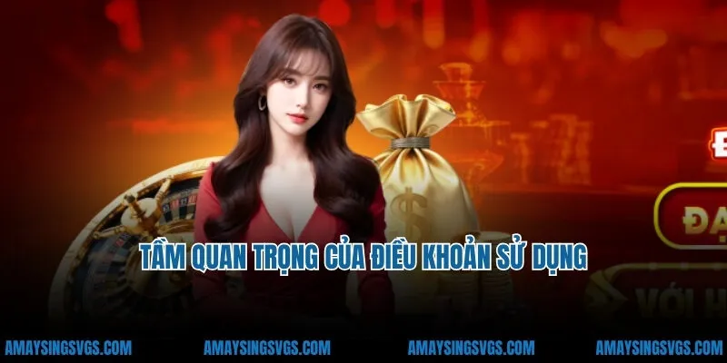 Tầm quan trọng của điều khoản sử dụng