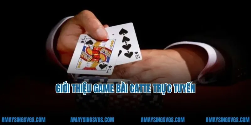 Giới thiệu game bài catte trực tuyến