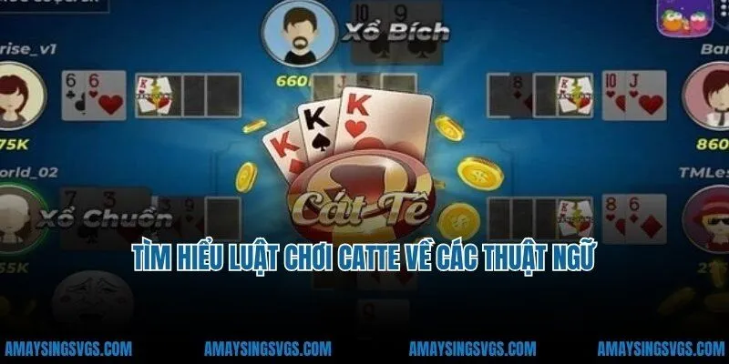 Tìm hiểu luật chơi catte về các thuật ngữ