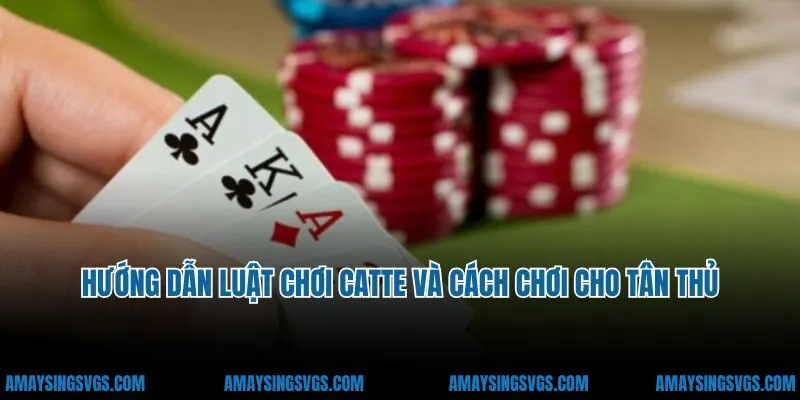 Hướng dẫn luật chơi catte và cách chơi cho tân thủ