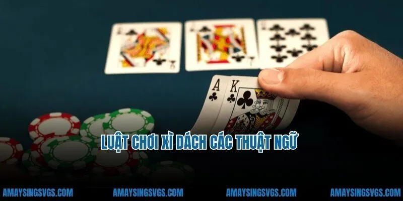 Luật chơi xì dách các thuật ngữ